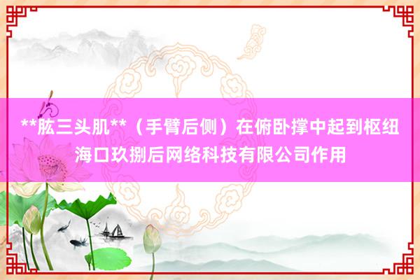 **肱三头肌**（手臂后侧）在俯卧撑中起到枢纽海口玖捌后网络科技有限公司作用
