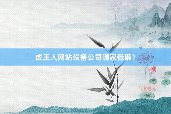成王人网站设备公司哪家低廉？