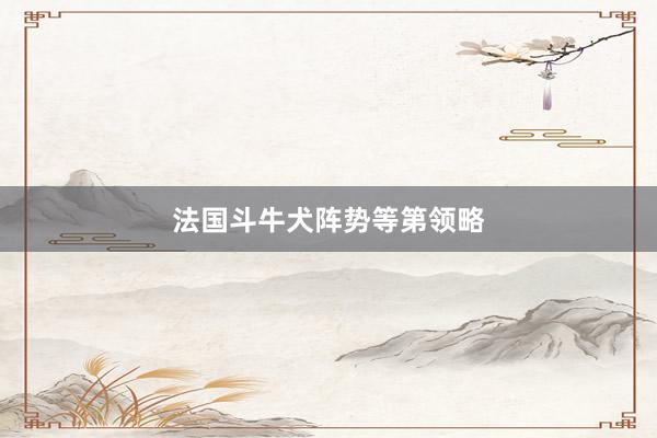 法国斗牛犬阵势等第领略