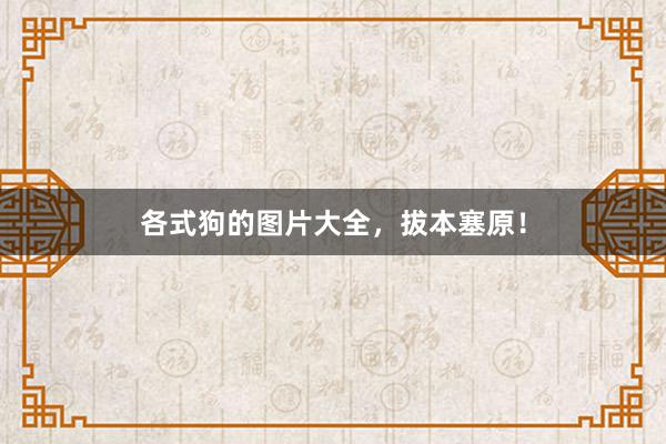 各式狗的图片大全，拔本塞原！